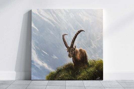 Alpine Ibex - (Print)