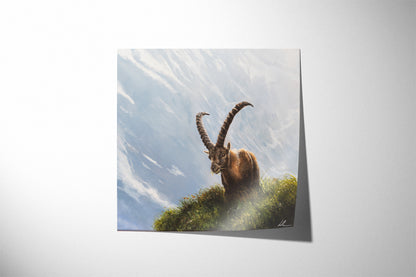 Alpine Ibex - (Print)
