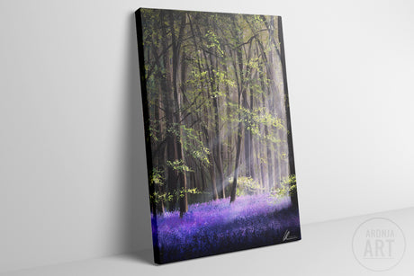 Lavender Forest (Print)