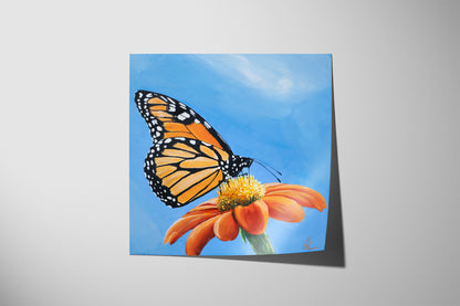 Monarch Butterfly (Print)