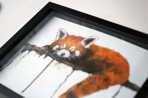 Little Red Panda - Original Gouache Painting (Framed)