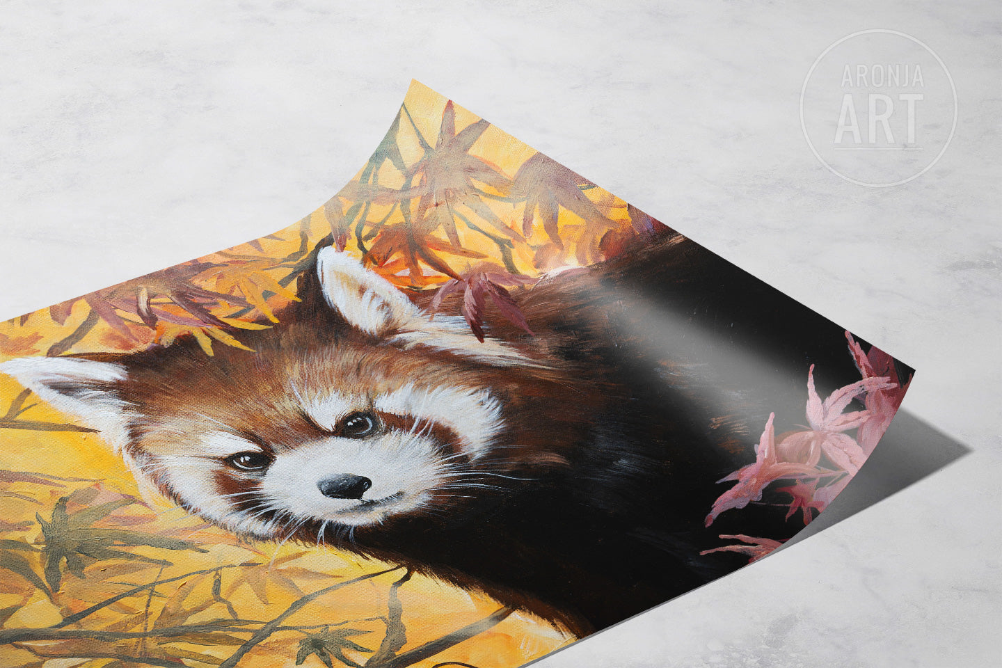 Red Panda (Print)