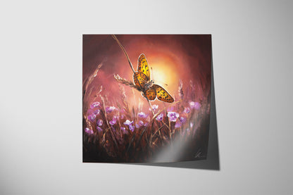 Sunset Butterfly (Print)