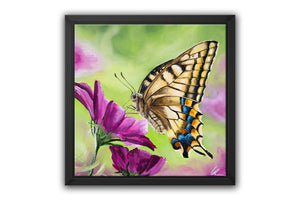 Swallowtail Butterfly (Print)