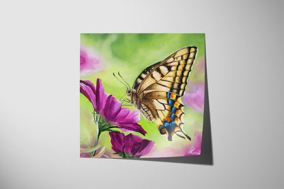 Swallowtail Butterfly (Print)