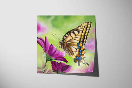 Swallowtail Butterfly (Print)