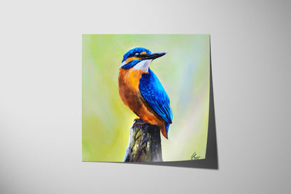 Kingfisher (Print)