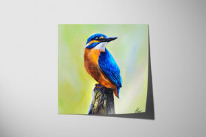 Kingfisher (Print)