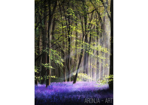 Lavender Forest (Print)